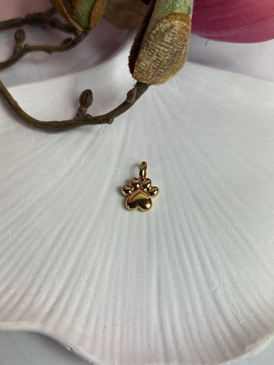 Pfote 🐾 Charms
